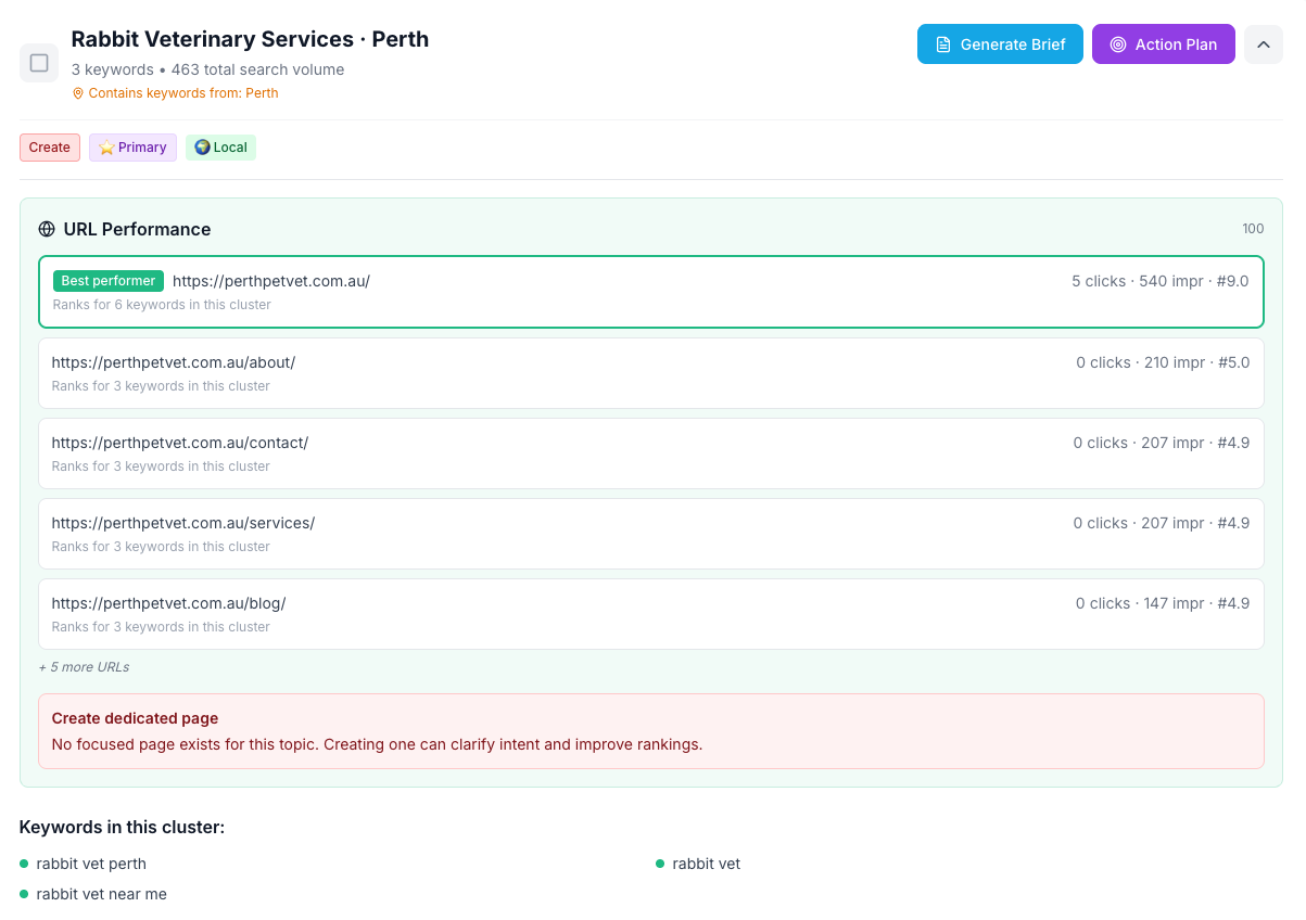 URL mapping dashboard showing keyword clusters mapped to existing pages with action recommendations - optimize, strengthen, choose primary, create, or monitor